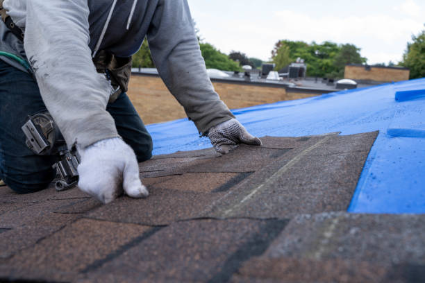 Professional Roofing Contractor in Triangle, VA